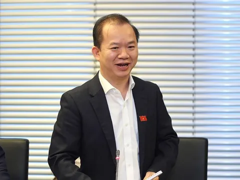 Đại biểu Quốc hội: 'Giờ văn nghệ sĩ yếu đuối lắm, đi quảng cáo bán thuốc suốt ngày'