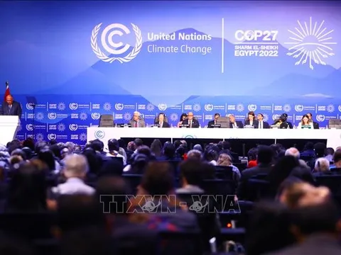 COP27: Việt Nam nhấn mạnh vai trò của chuyển đổi năng lượng trong chống biến đổi khí hậu