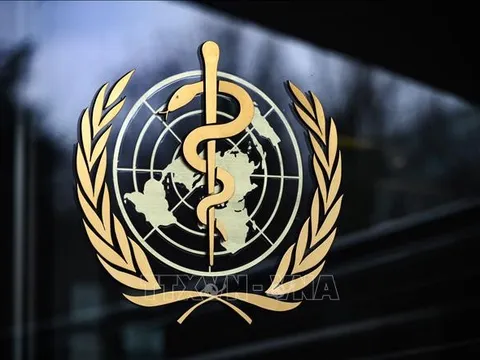 WHO cảnh báo xung đột vũ trang làm tăng nguy cơ lây lan dịch bệnh