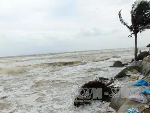 Khẩn trương gia cố kè biển Hội An bị hư hại nặng