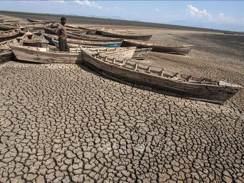 EU cam kết tài trợ châu Phi hơn 1 tỷ USD để chống biến đổi khí hậu