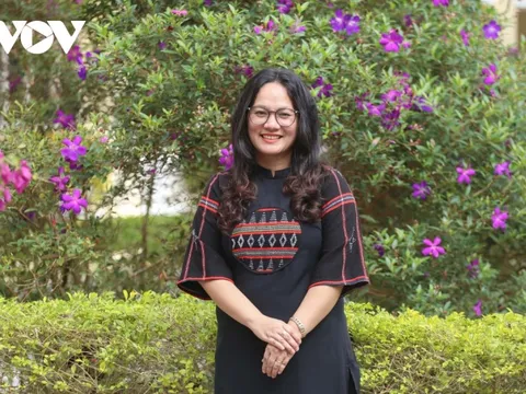 Hoa núi, búp măng rừng tặng thầy, cô giáo ngày 20/11