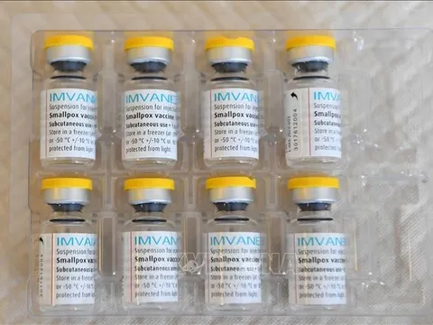 EU đặt mua 2 triệu liều vaccine phòng bệnh đậu mùa khỉ