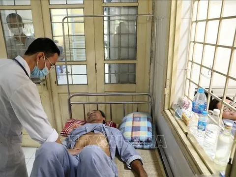 Hà Nội nỗ lực dập dịch sốt xuất huyết