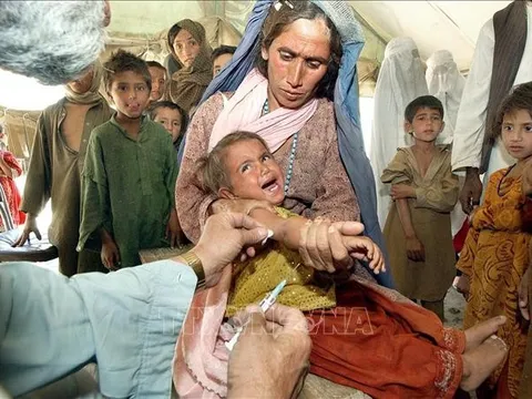 WHO cảnh báo nguy cơ dịch sởi bùng phát trên toàn thế giới