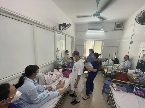 Hơn 314.000 người mắc sốt xuất huyết, 115 ca tử vong