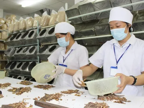 Thuốc quảng cáo, bán trôi nổi trên mạng: Hiểm họa khôn lường