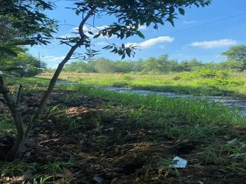 Bắt nhóm người công ty vệ sinh đổ trộm 7.000 m3 chất thải ra môi trường