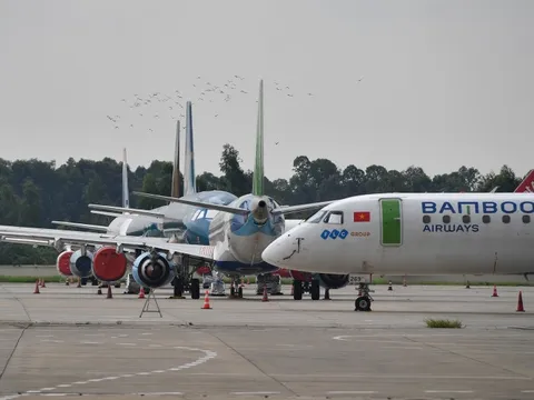 Vé bay Tết khan hiếm, chỉ còn vé thương gia đắt đỏ
