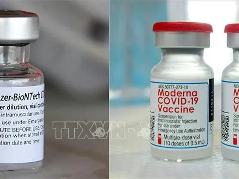 Mỹ cấp phép vaccine ngừa COVID-19 cải tiến của Moderna và Pfizer cho trẻ từ 6 tháng tuổi