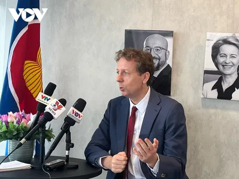 Việt Nam - đối tác song phương lớn và đối tác quan trọng của EU trong ASEAN