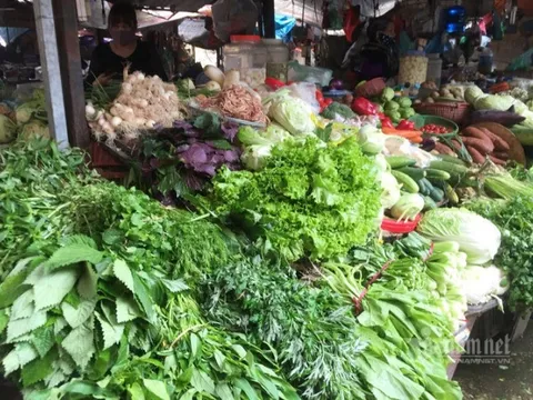 Hà Nội: Giá rau xanh tăng gấp đôi, đắt ngang thịt cá