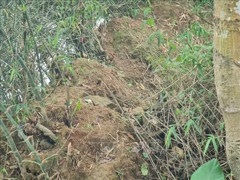 Quảng Ngãi: Sạt lở bờ sông cuốn trôi nhiều diện tích đất ở, đất sản xuất