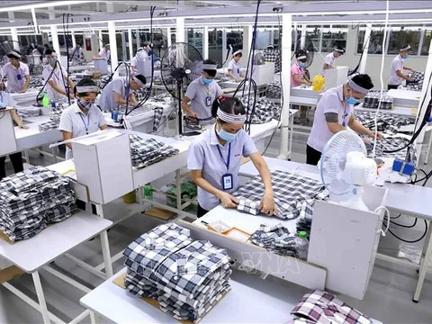 Tăng cường thanh tra, kiểm tra các doanh nghiệp nợ đọng bảo hiểm xã hội