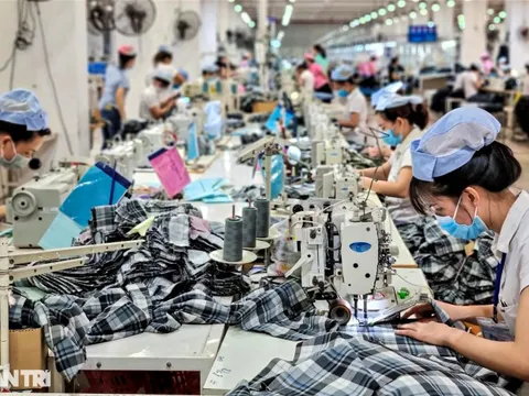 Đà Nẵng: Thưởng Tết hơn 1 tỷ đồng, có cao nhất cả nước?