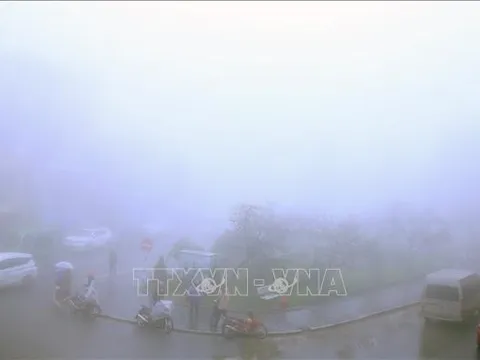 Các tỉnh, thành phố chủ động ứng phó rét đậm, rét hại và gió mạnh trên biển