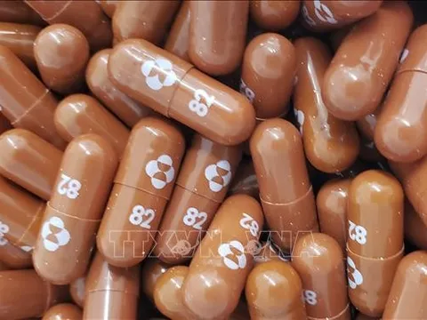 Trung Quốc cấp phép sử dụng có điều kiện thuốc Molnupiravir điều trị COVID-19