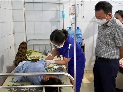 Gần Tết, nhiều dịch bệnh vẫn còn phức tạp