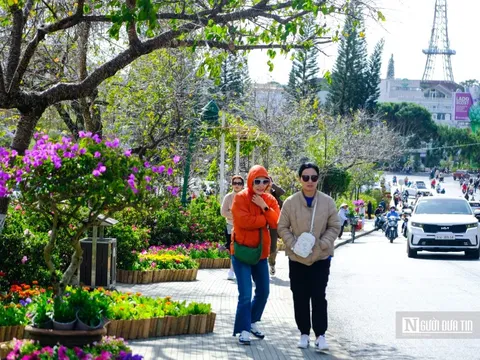 Lâm Đồng: Thu hút hơn 1,5 triệu lượt du khách dịp Festival hoa Đà Lạt