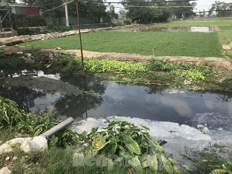 Hà Nội quyết 'hồi sinh' các dòng sông: Lời 'kêu cứu' từ những 'xóm nước đen'