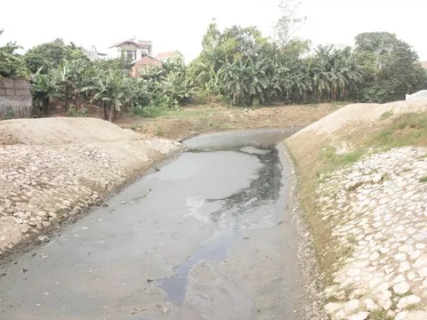 Thí điểm phục hồi sông Nhuệ, sông Đáy