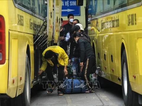 Đường dây nóng về bảo đảm trật tự, an toàn giao thông dịp Tết