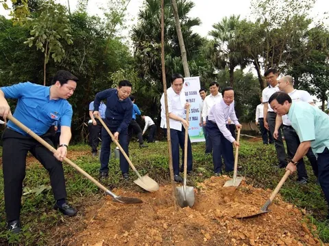 Trồng cây xanh - hành động nhỏ, ý nghĩa lớn