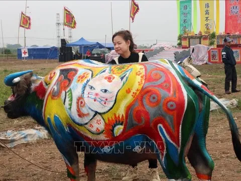 Hội thi vẽ trang trí trâu Lễ hội Tịch điền Đọi Sơn