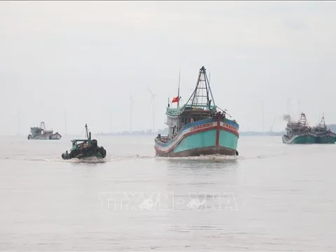 Ngư dân Bến Tre ra khơi ngày đầu năm mới