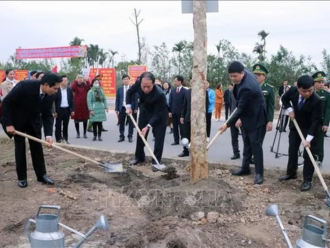 Tết trồng cây: Tạo cảnh quan, bảo vệ môi trường sinh thái