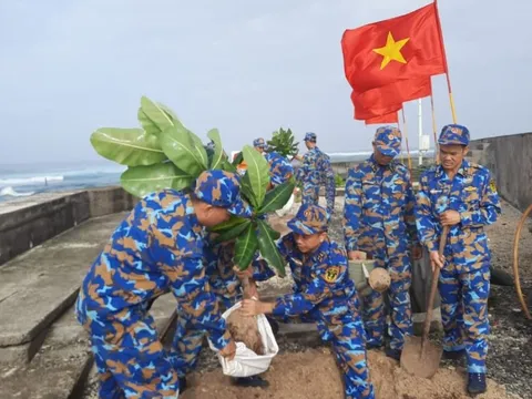 Huyện đảo Trường Sa hưởng ứng Tết trồng cây đầu năm mới