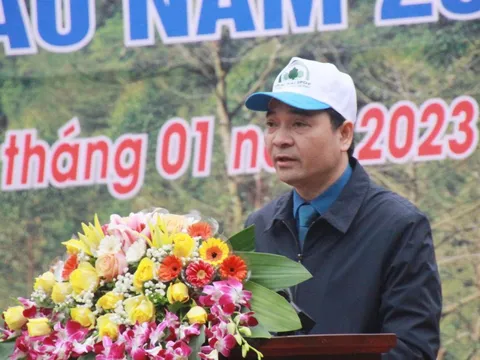 Văn Chấn (Yên Bái): Lan toả phong trào trồng cây ứng phó với biến đổi khí hậu