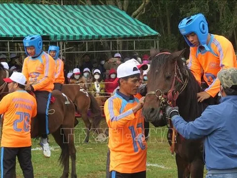 Sôi nổi Hội đua ngựa truyền thống Gò Thì Thùng