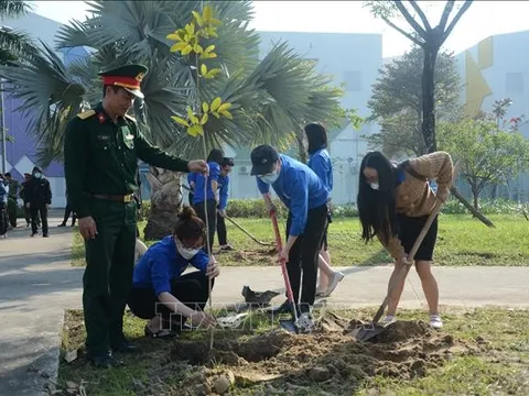Tuổi trẻ Đà Nẵng hăng hái tham gia Tết trồng cây