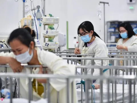 Số ca sốt xuất huyết ở TP.HCM tăng cao trong tháng đầu năm
