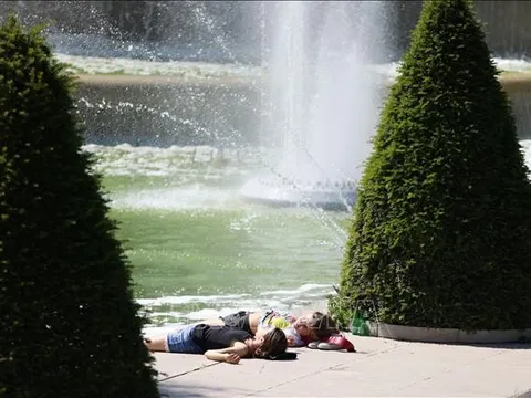 Nghiên cứu: Cây có thể giảm tỷ lệ tử vong vì nắng nóng ở đô thị