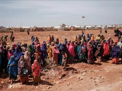 Trên 8,3 triệu người đang cần viện trợ nhân đạo ở Somalia