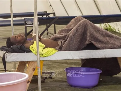 WHO: 1.210 ca tử vong trong đợt bùng phát dịch tả nghiêm trọng nhất tại Malawi