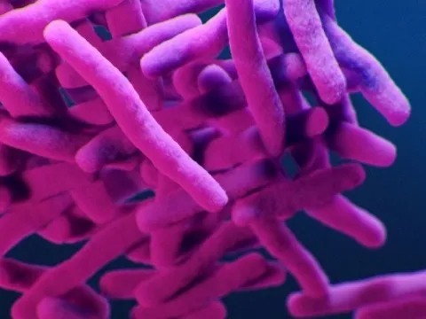 Giảm ô nhiễm để chống lại siêu vi khuẩn