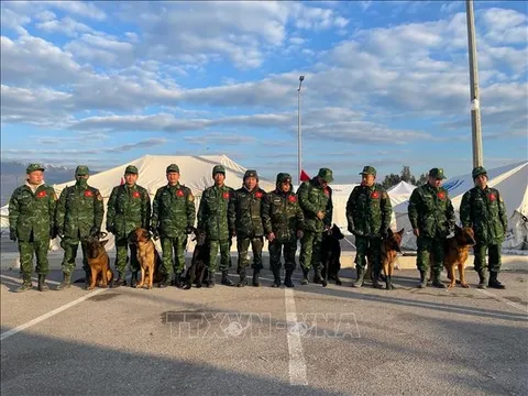 Động đất tại Thổ Nhĩ Kỳ, Syria: Những thành công của đội chó nghiệp vụ tìm kiếm cứu nạn của QĐND Việt Nam