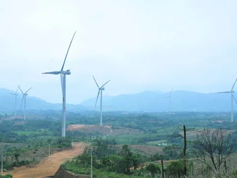 Quảng Trị ứng phó BĐKH: Linh hoạt thích ứng gắn với tăng trưởng xanh