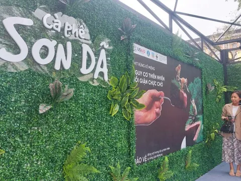 Thừa Thiên – Huế: Nâng cao ý thức bảo vệ động vật rừng qua mô hình “Cà phê Sơn Dã”