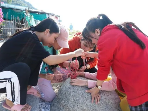 Khánh Hoà: Học sinh tích cực làm san hô từ chất thải rắn