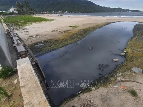 Sử dụng hiệu quả các nguồn lực ứng phó sự cố chất thải