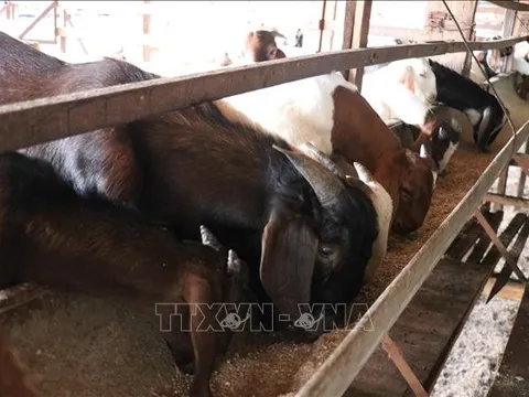 Nhiều chính sách giúp bà con vùng biên thoát nghèo bền vững