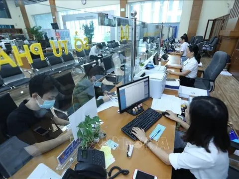 Cán bộ phải 'ngồi phục' ban đêm để đẩy dữ liệu về công chức, viên chức