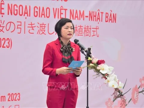 Hà Nội tiếp nhận, trồng 110 cây hoa Anh đào tại Công viên Hòa Bình