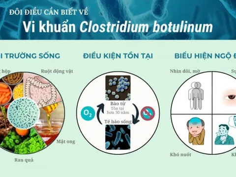 Vì sao thực phẩm nhiễm chất kịch độc Botulinum?