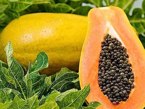 Những loại trái cây giúp tăng cường hệ miễn dịch, phòng cảm cúm cho thời điểm giao mùa