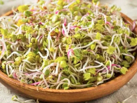 Rau mầm giúp tăng cường hệ thống miễn dịch